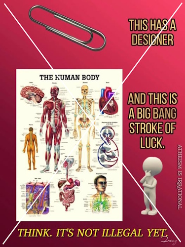 Paper Clips are Designed